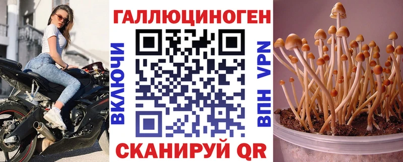 Галлюциногенные грибы ЛСД дарнет шоп Онега